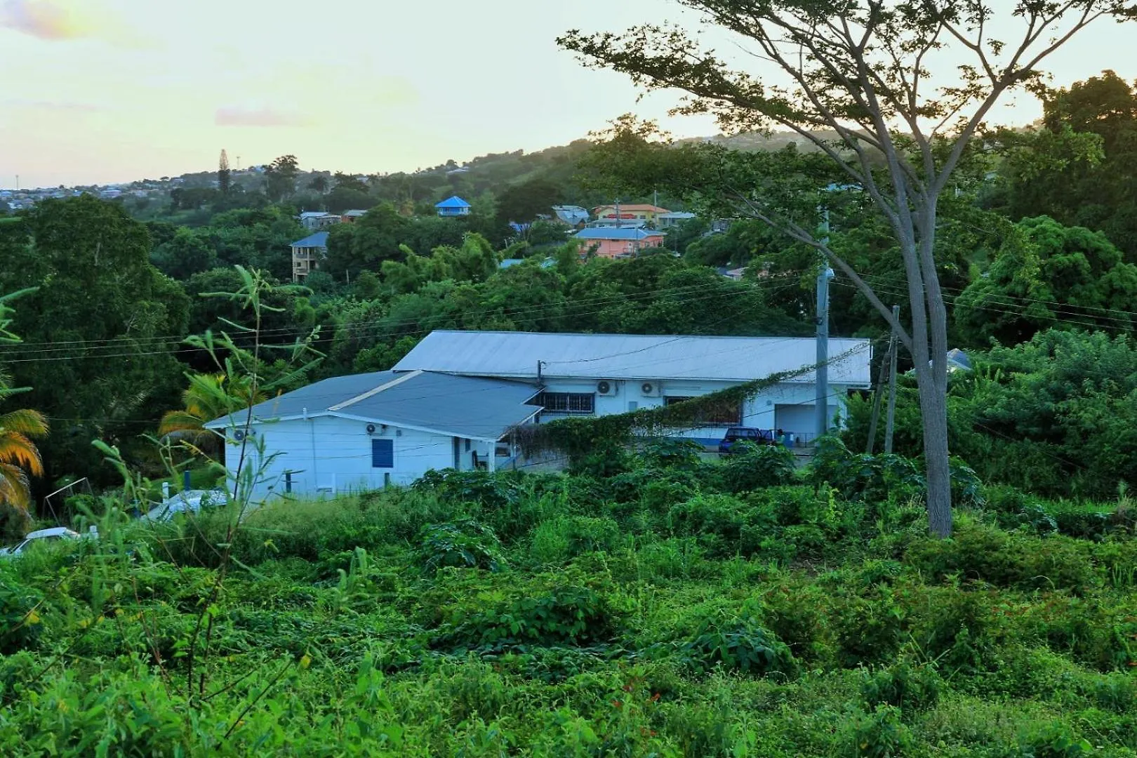 Cozy 1-Bed Apt In Whim Estate-Near Scarborough Trinidad & Tobago